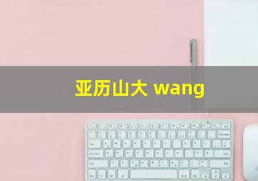 亚历山大 wang